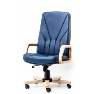 SCAUN DIRECTOR